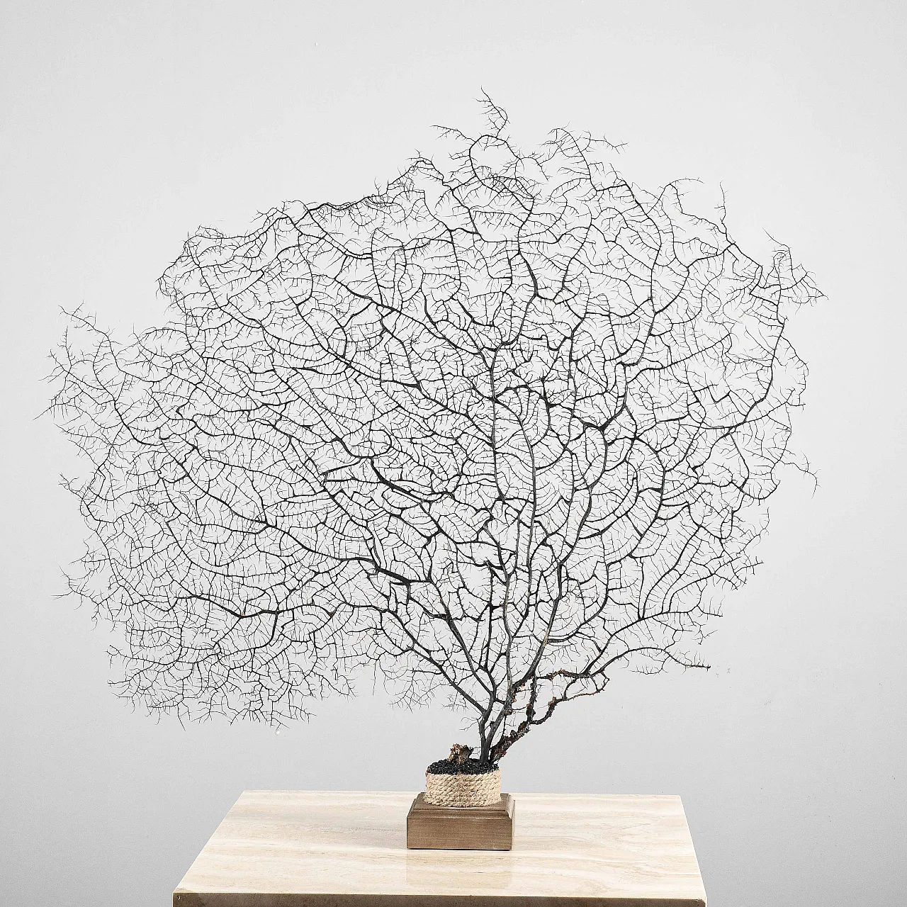 Louis XIV console table in lacquered wood, 17th century 1