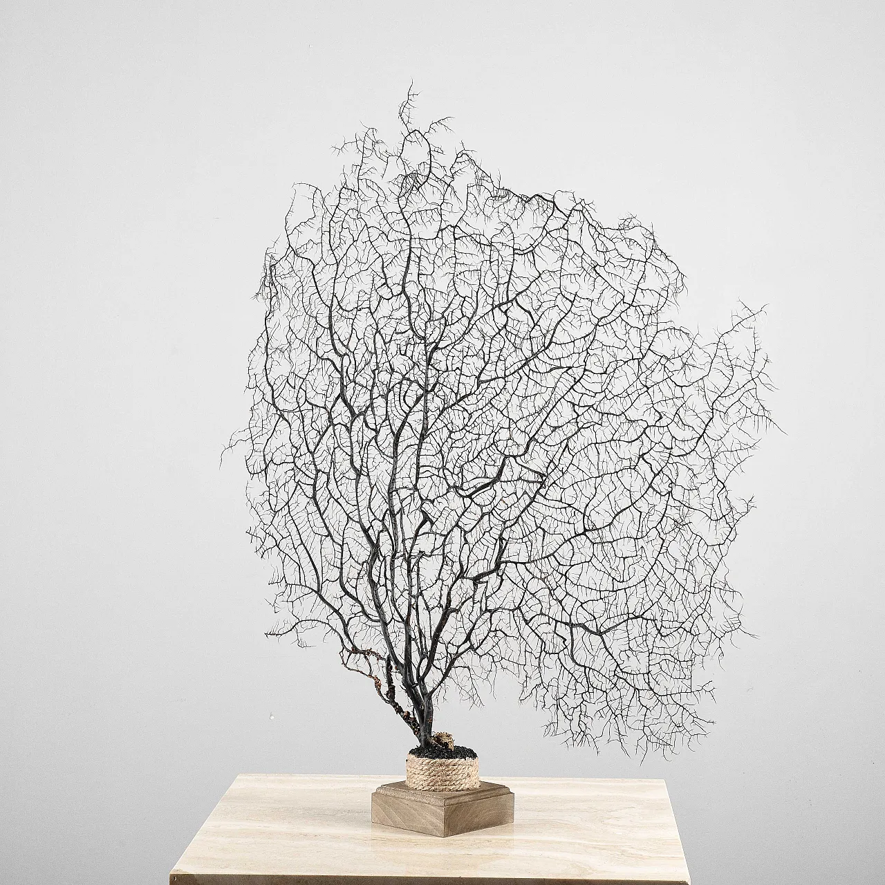 Louis XIV console table in lacquered wood, 17th century 5