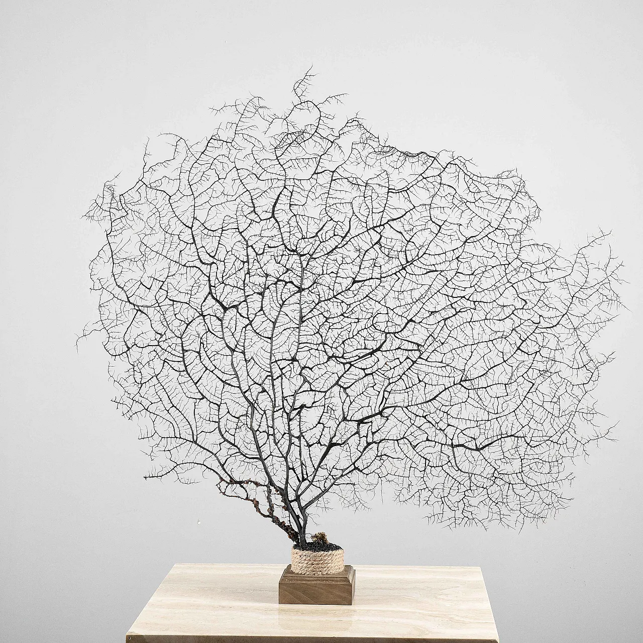 Louis XIV console table in lacquered wood, 17th century 6