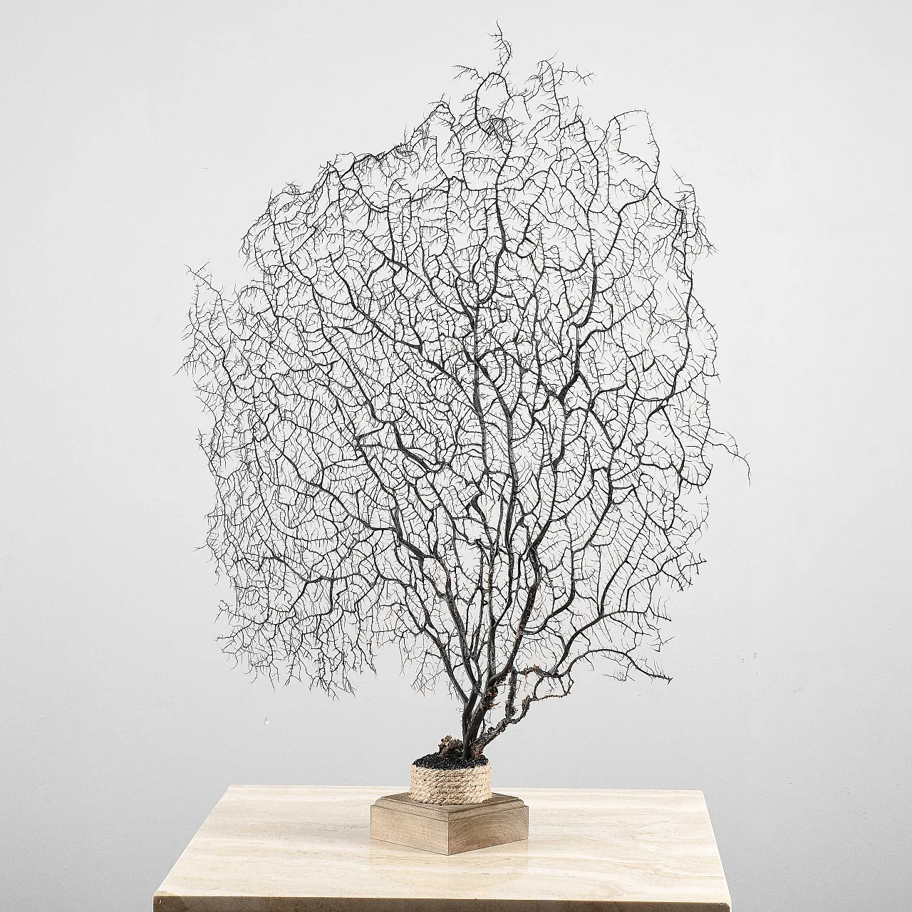 Louis XIV console table in lacquered wood, 17th century 7