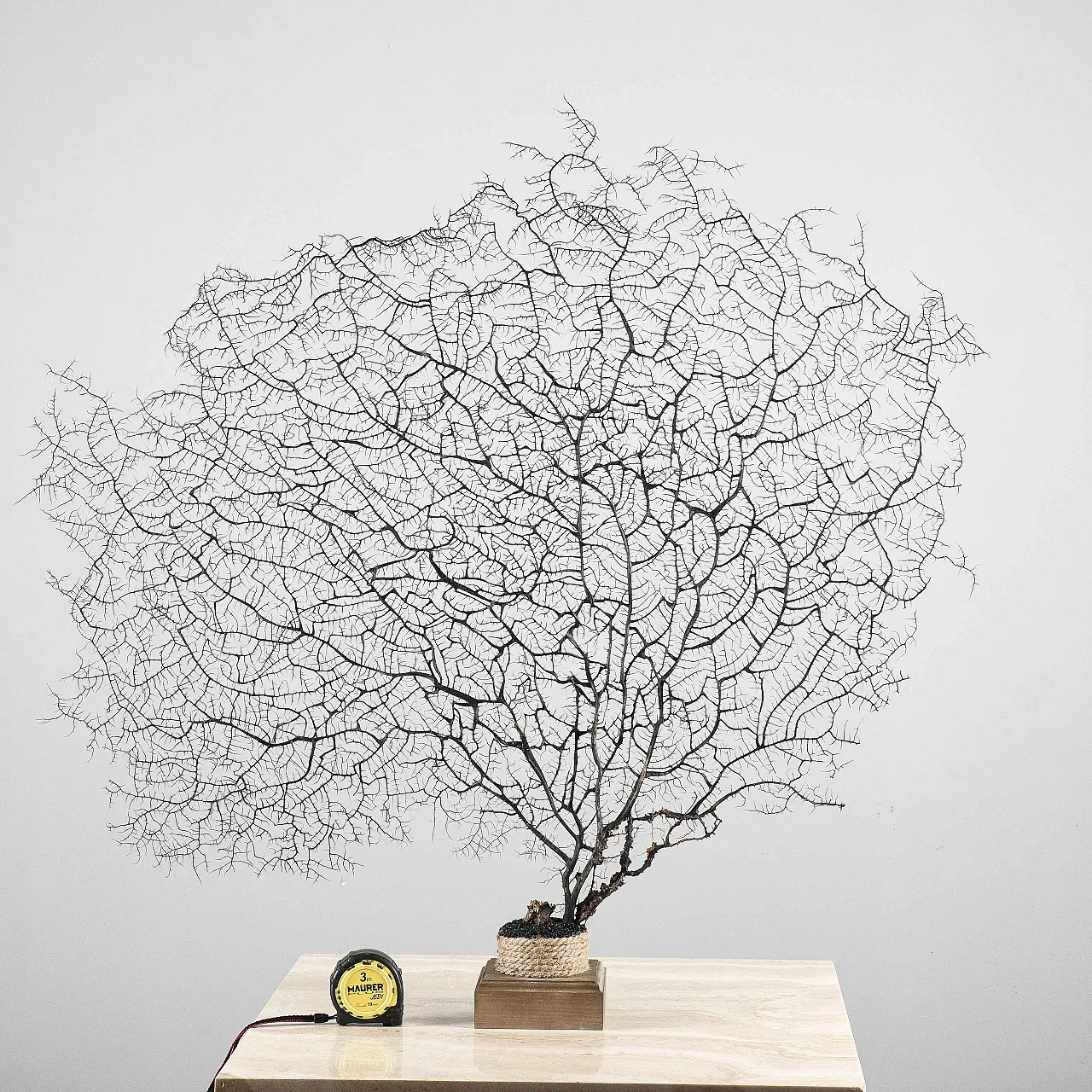 Louis XIV console table in lacquered wood, 17th century 8