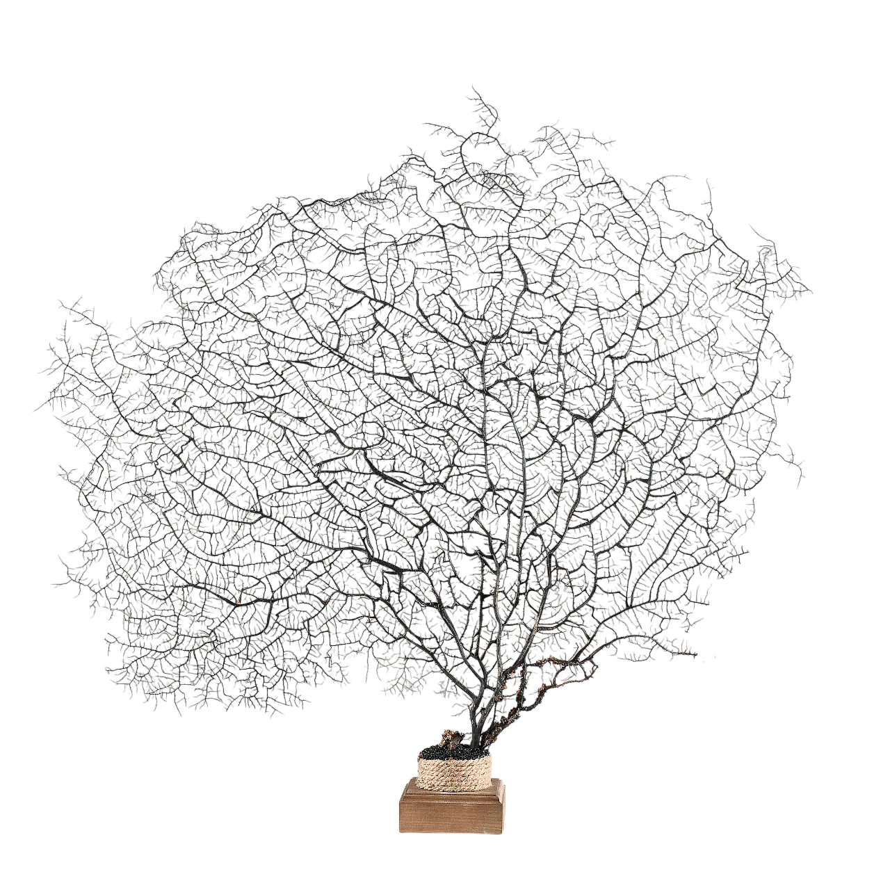 Louis XIV console table in lacquered wood, 17th century 9