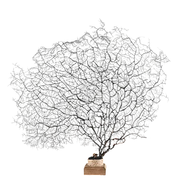 Louis XIV console table in lacquered wood, 17th century