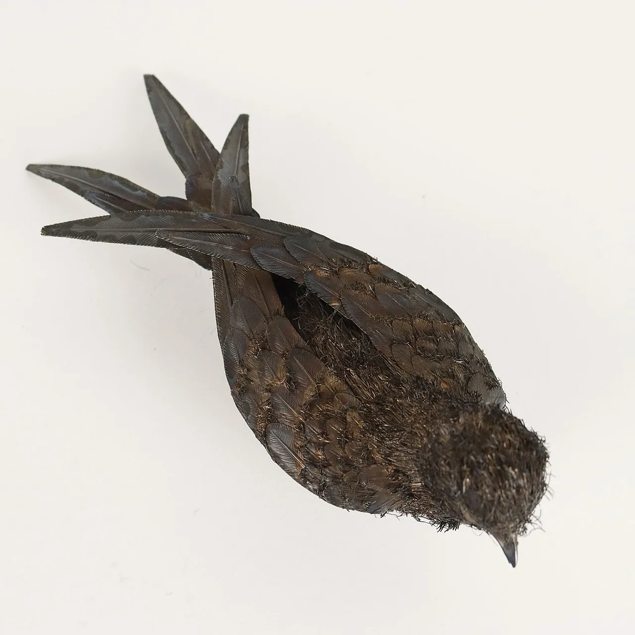 Uccello in argento di Nava & Nencini, anni '70 5