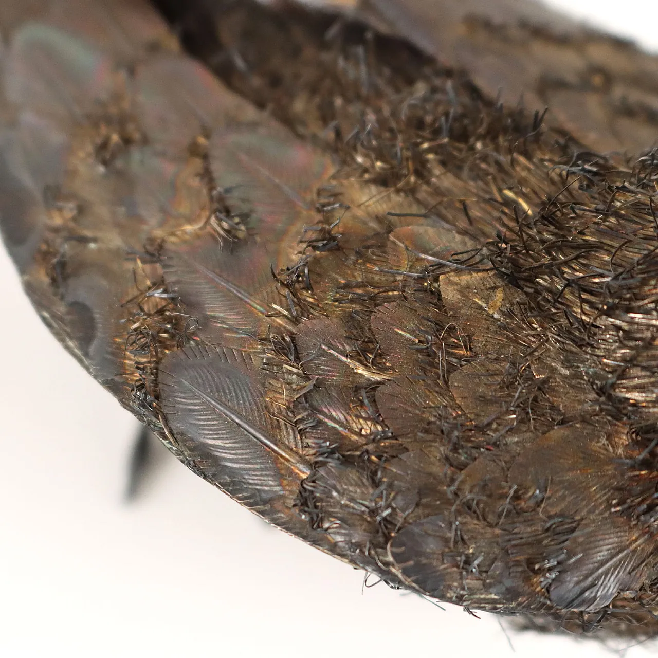 Uccello in argento di Nava & Nencini, anni '70 7