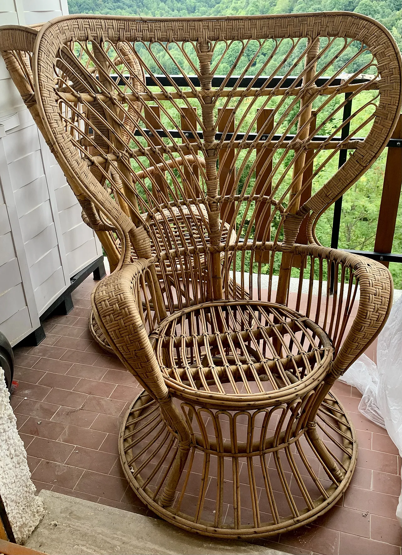 Coppia di poltrone di Gio Ponti Lio Carminati Biancamano, anni '60 4