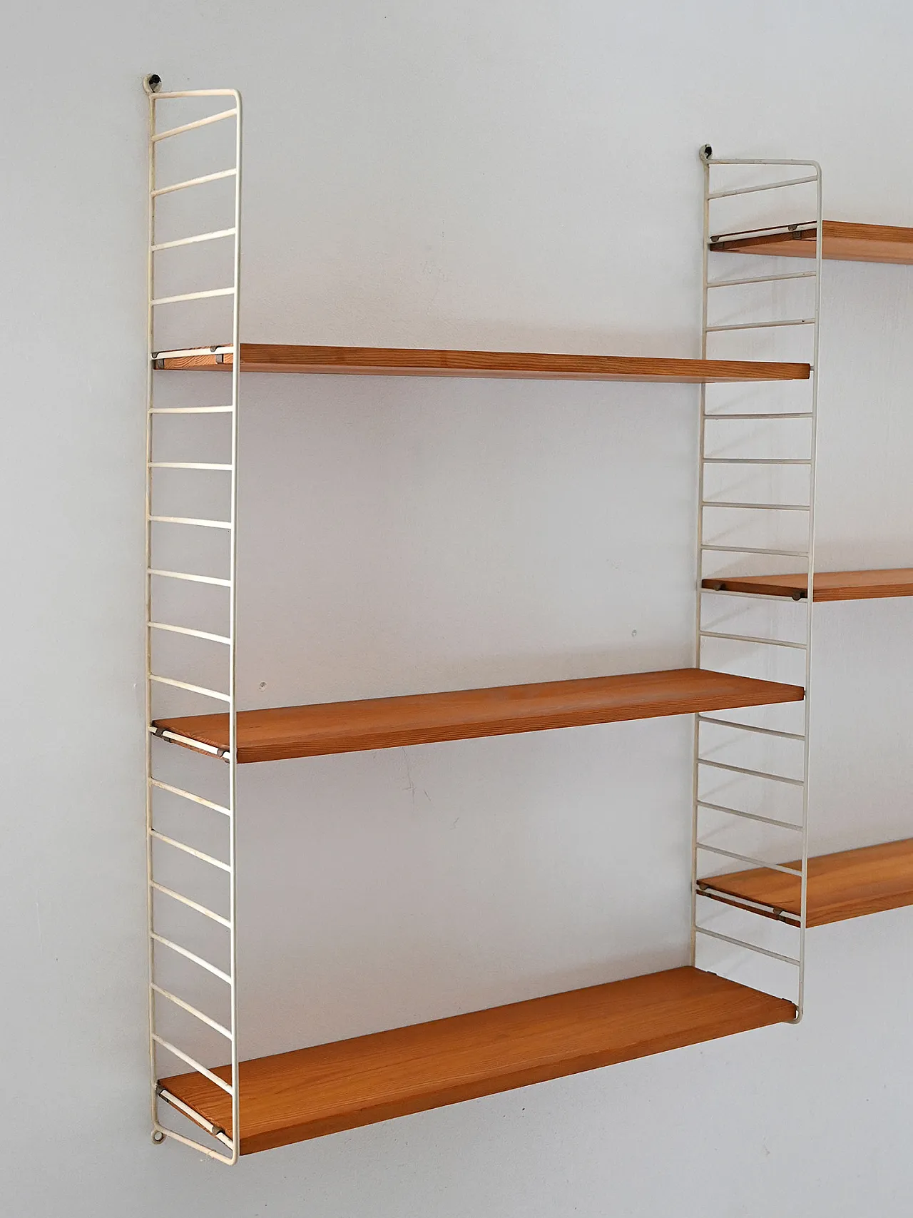 Scandinavian 60s shelves system in fir trees 3