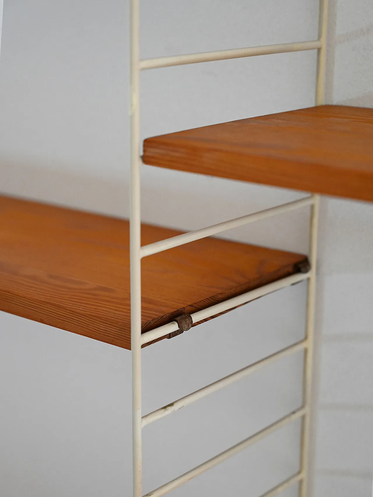Scandinavian 60s shelves system in fir trees 5