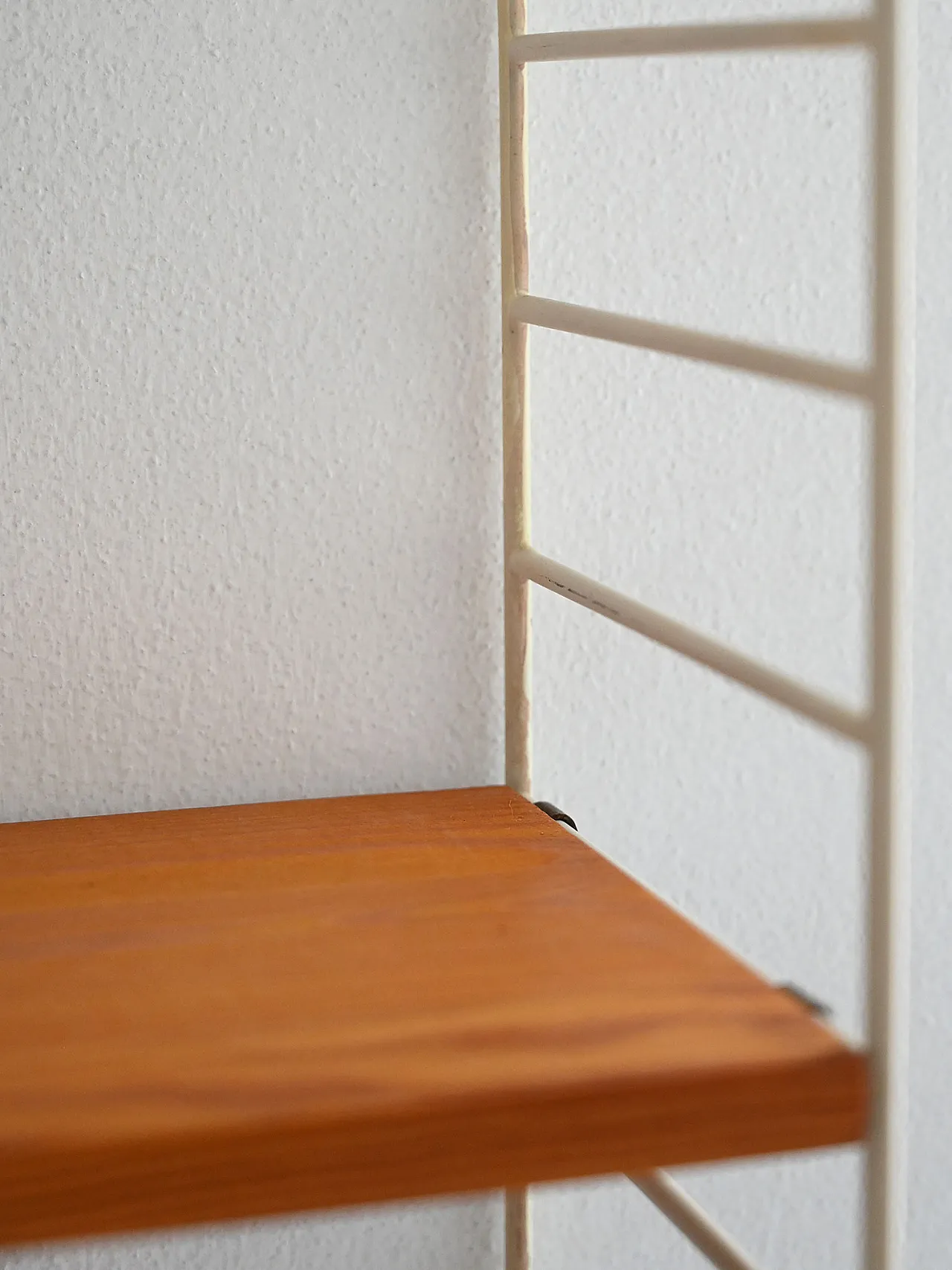 Scandinavian 60s shelves system in fir trees 7