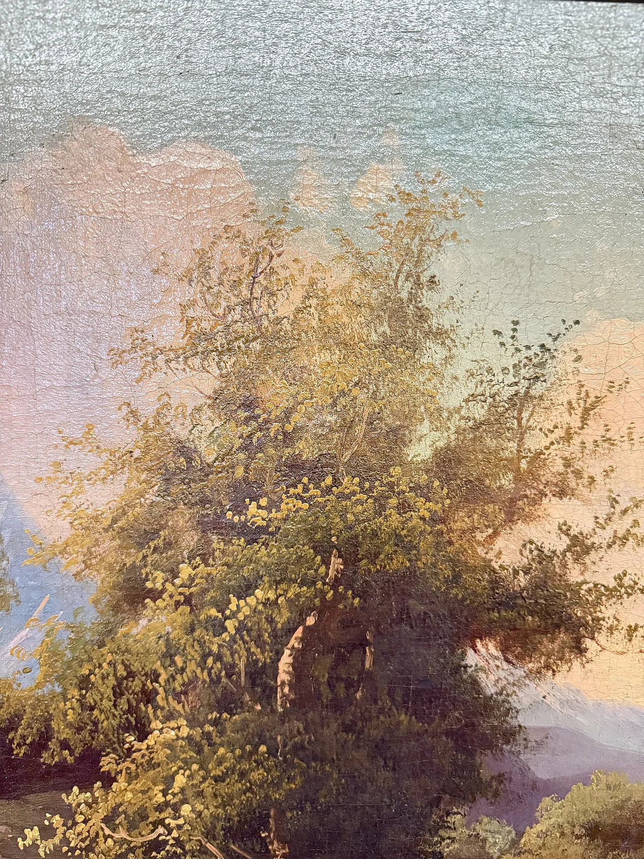 Dipinto olio su tela scuola austriaca, '800 4