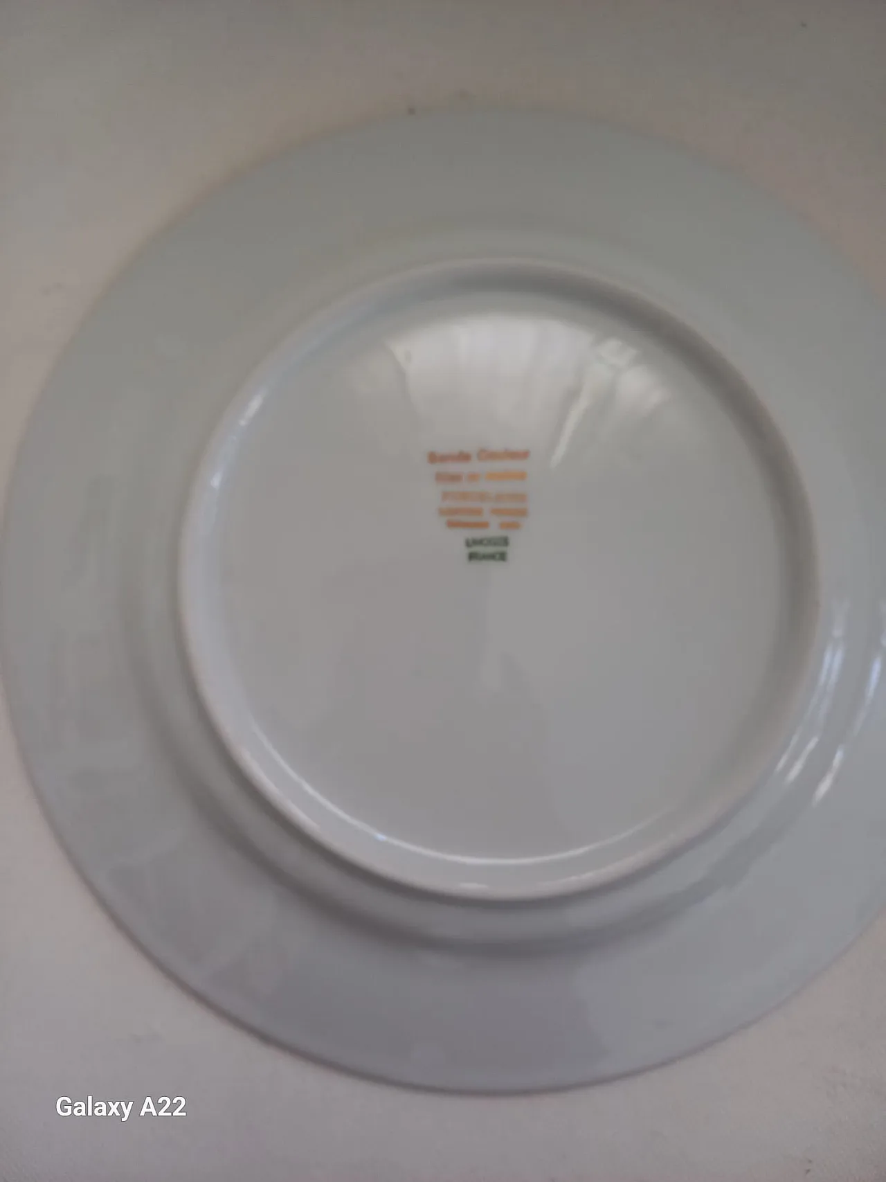 Limoges Piatti decorati 3