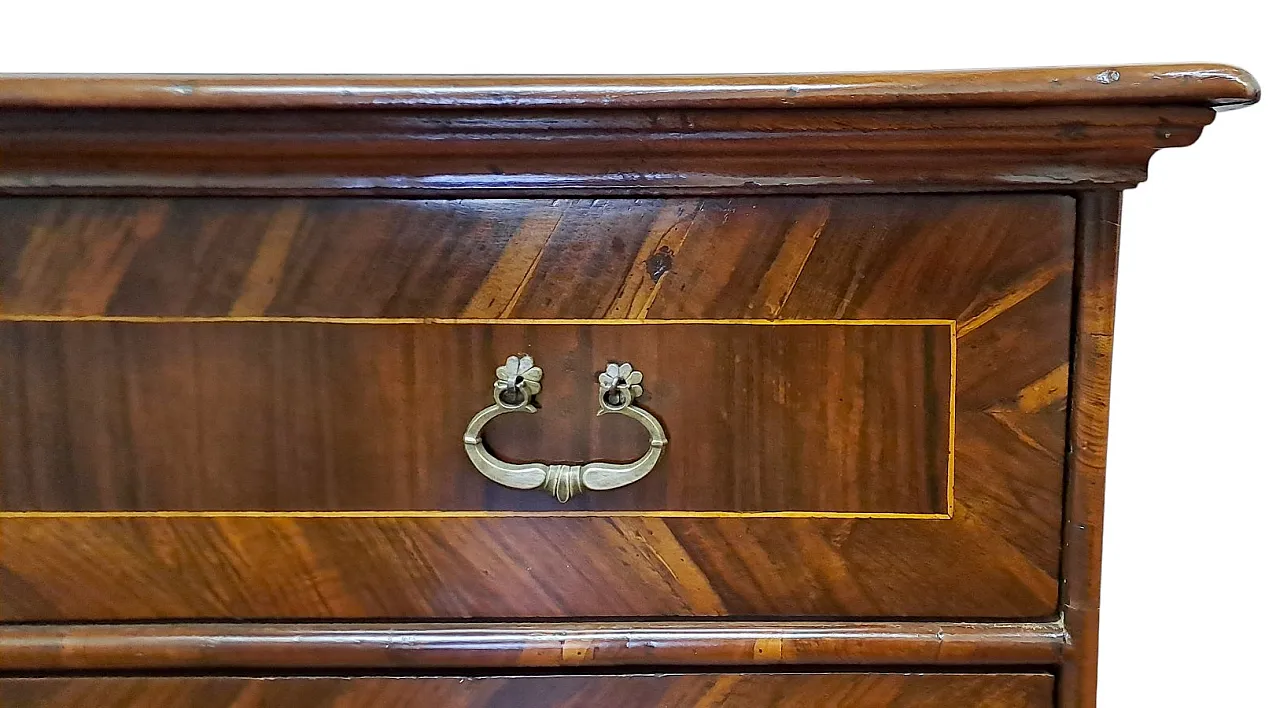 CANTERANO LASTRONATO IN NOCE - MODENA - XVII SEC. 7