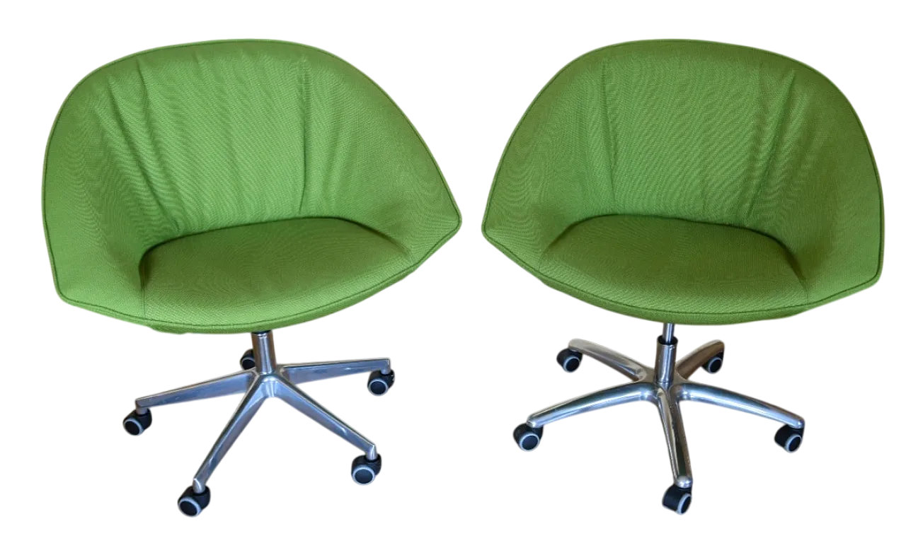 Coppia di poltrone Krokus di Kastel verde oliva, anni 2000 16