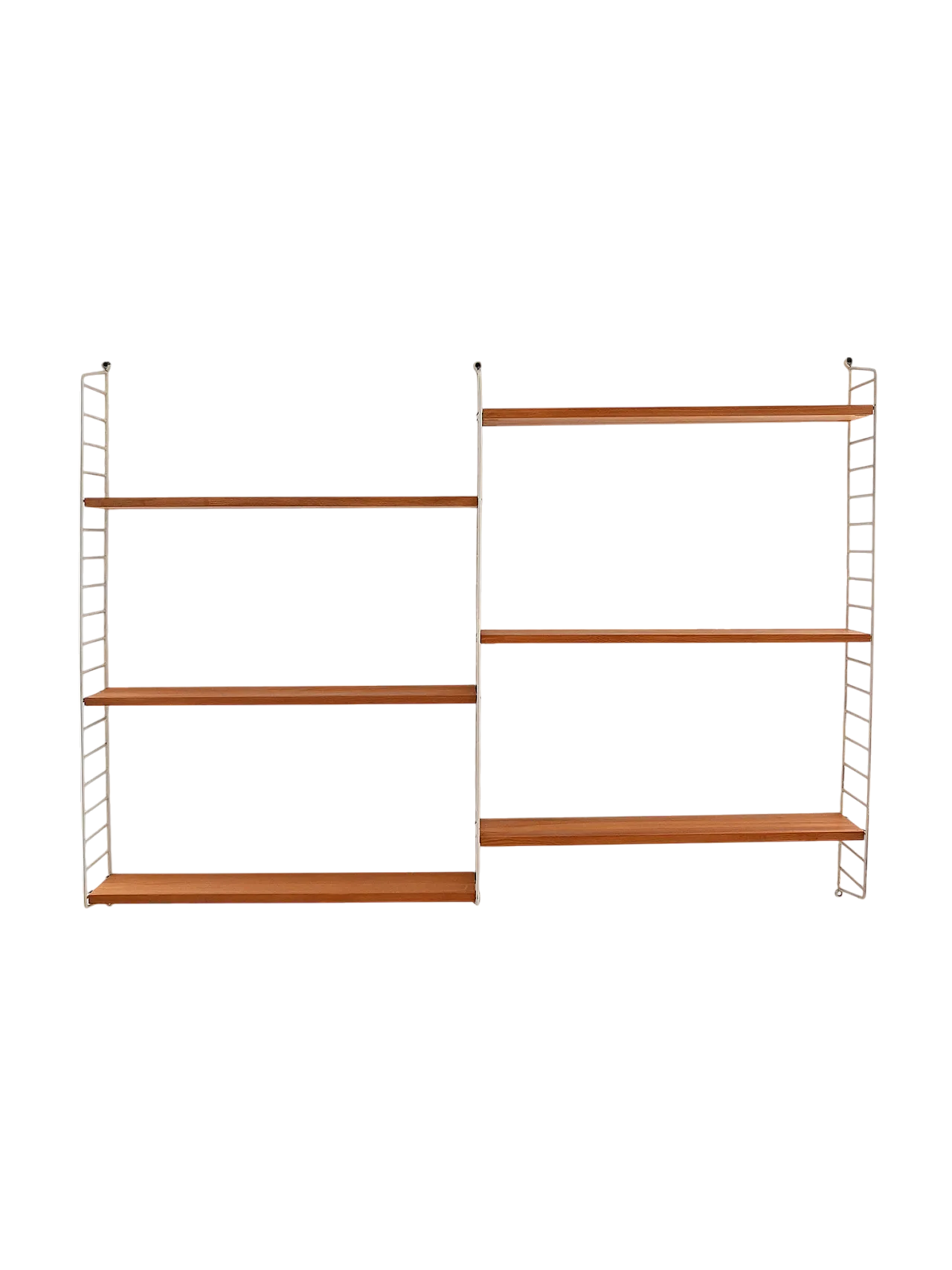 Scandinavian 60s shelves system in fir trees 8