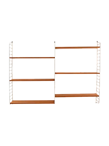Scandinavian 60s shelves system in fir trees