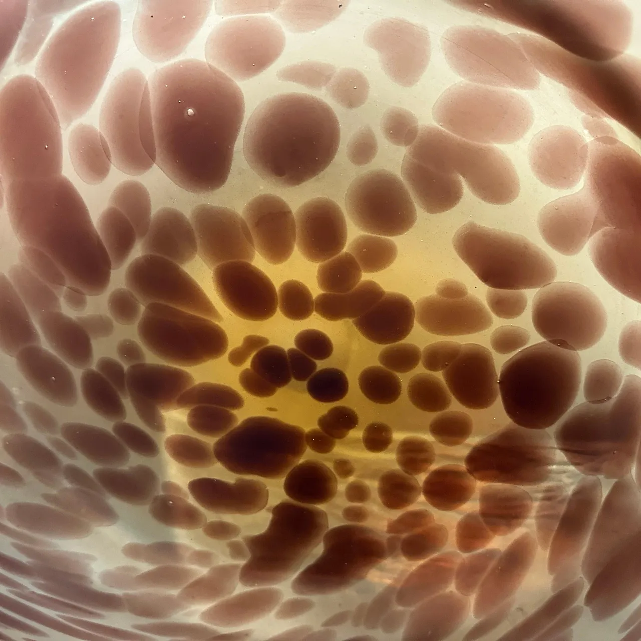 Centrotavola rotondo in vetro con guscio di tartaruga, anni '70 6