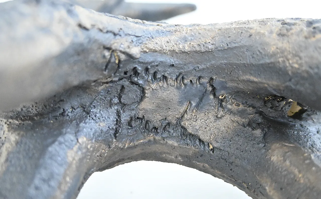 Ceramica di capra di Dominique Pouchein 7