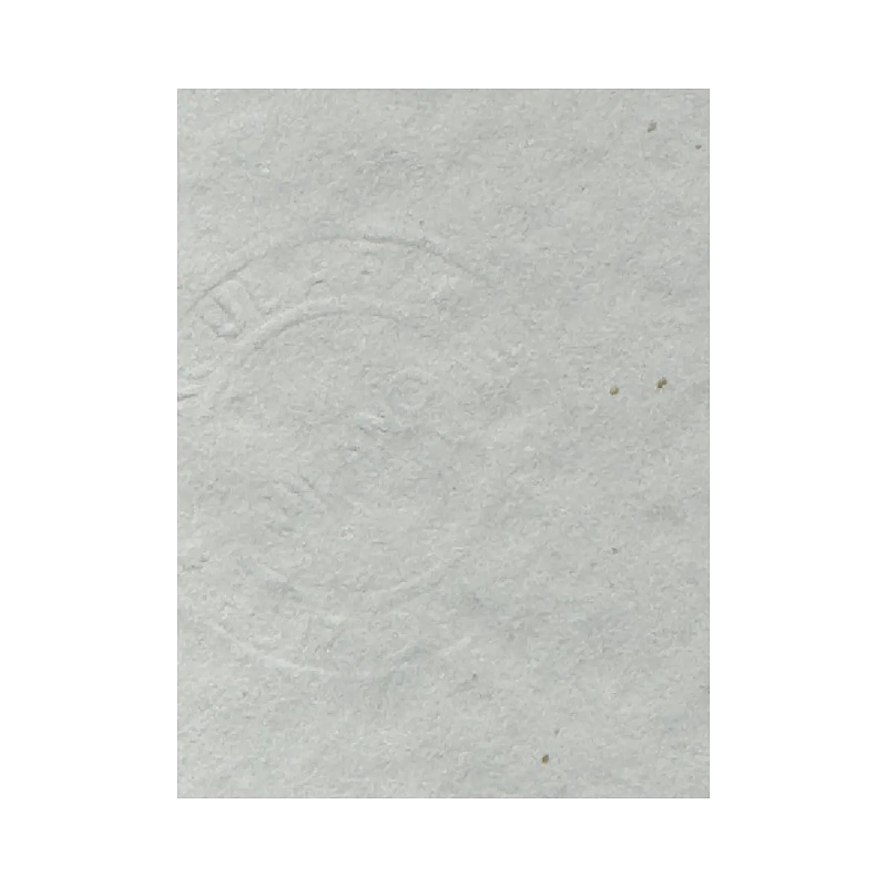 Coppia di serigrafie di Mario Schifano, '900 3