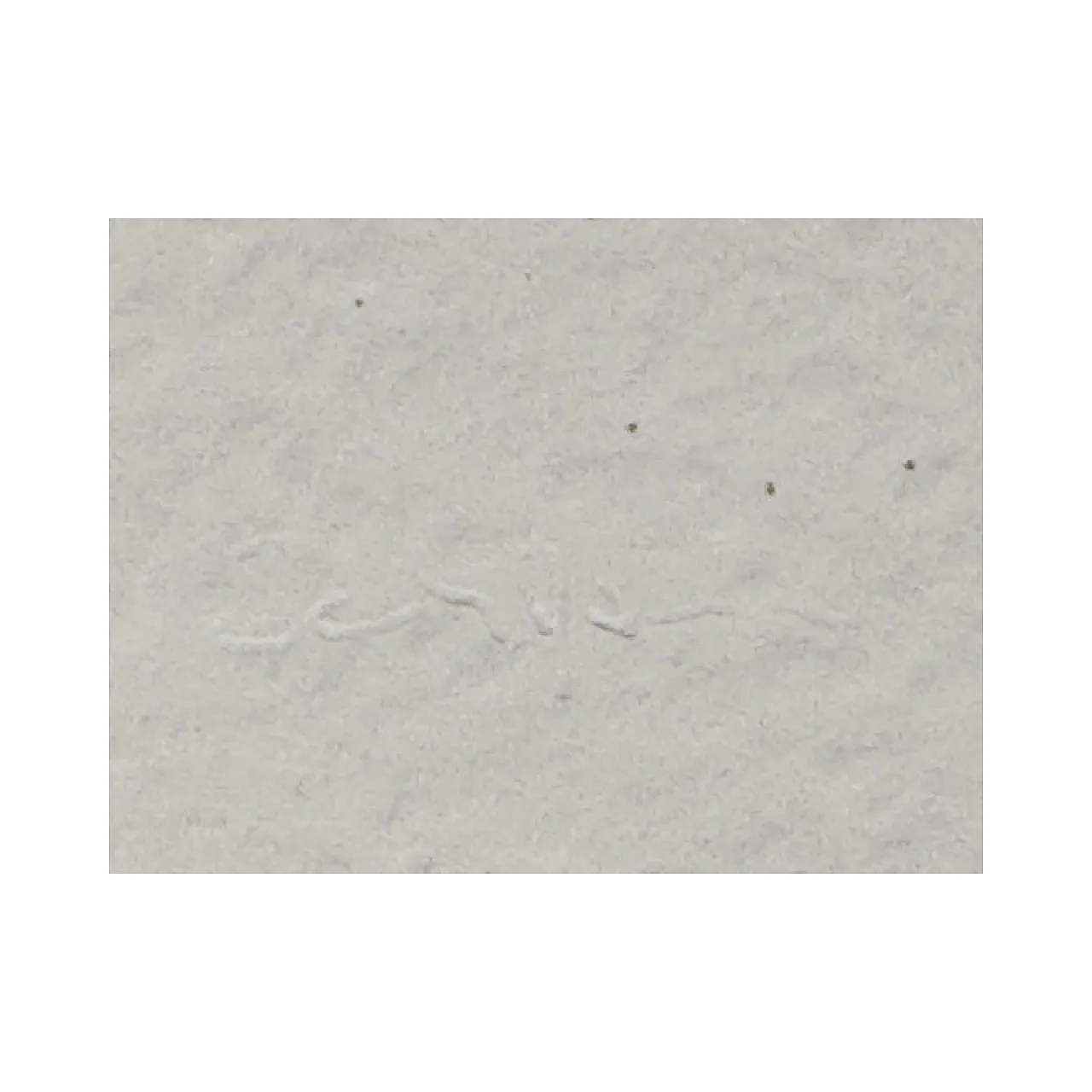 Coppia di serigrafie di Mario Schifano, '900 4