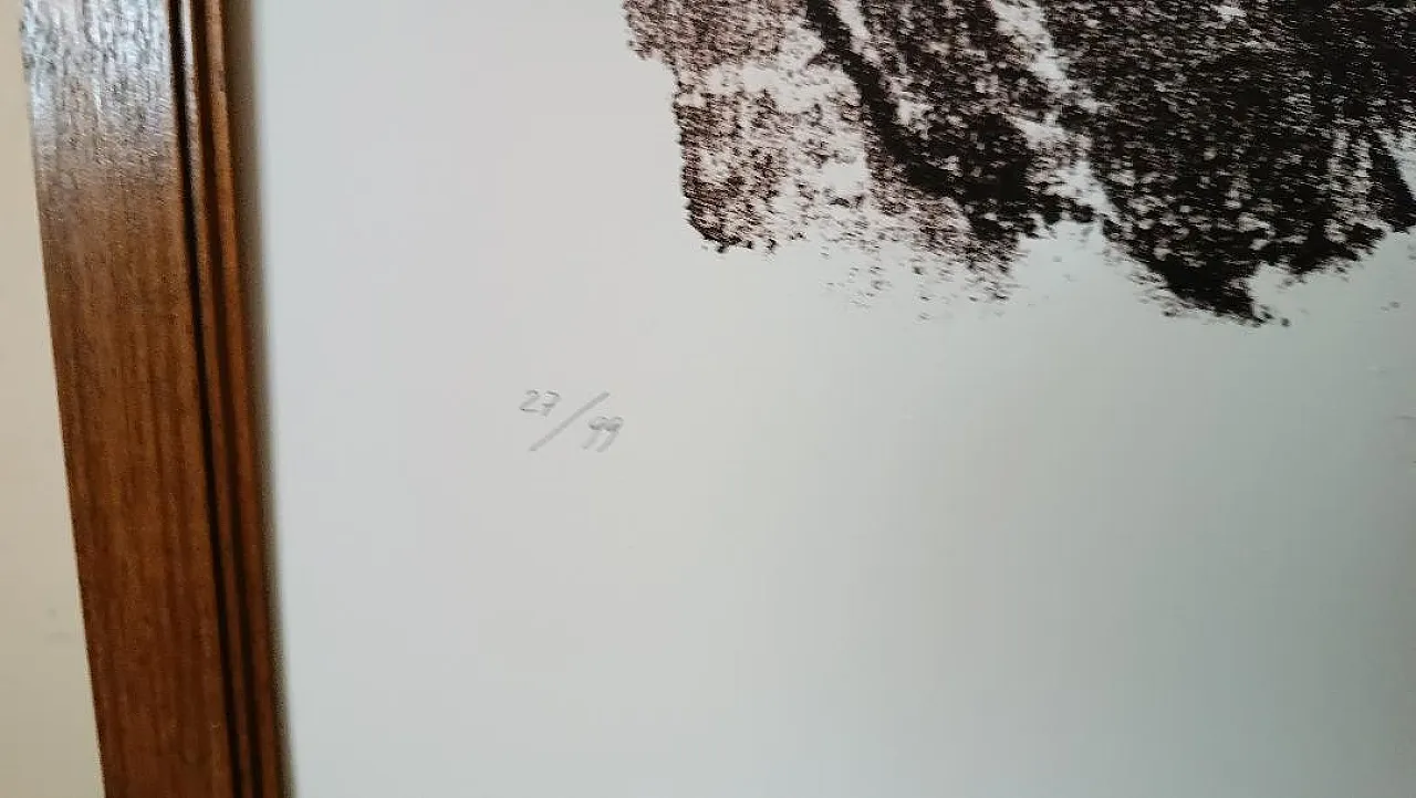 Litografia di Pietro Annigoni, '900 3