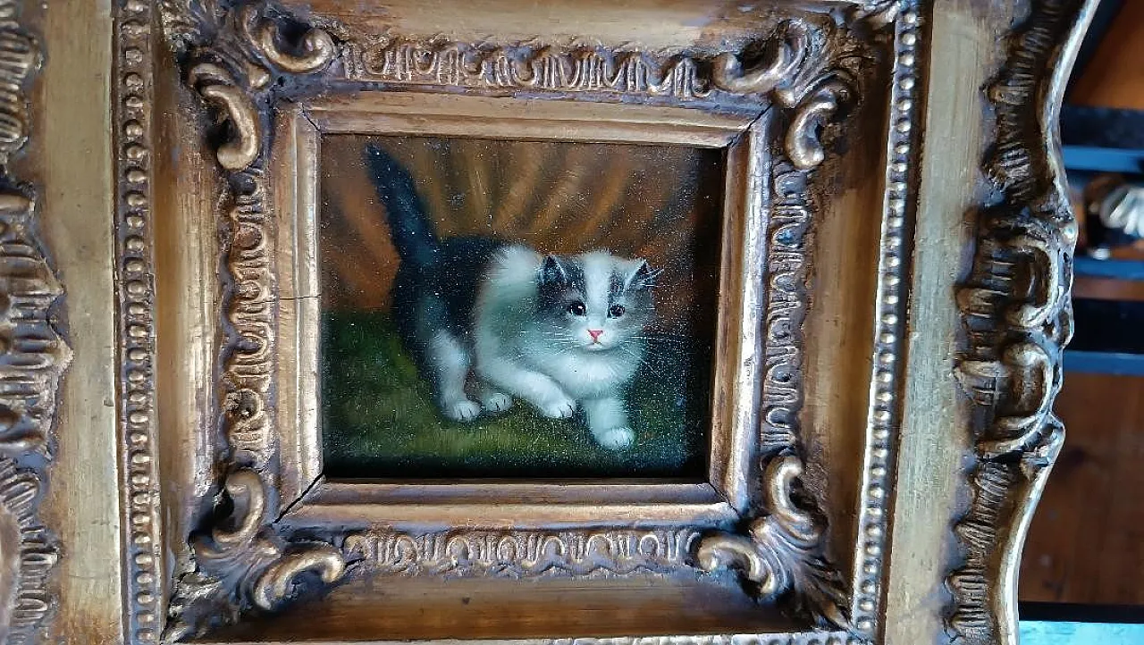 Gatto, olio su tavoletta, scuola inglese, primo '900 3