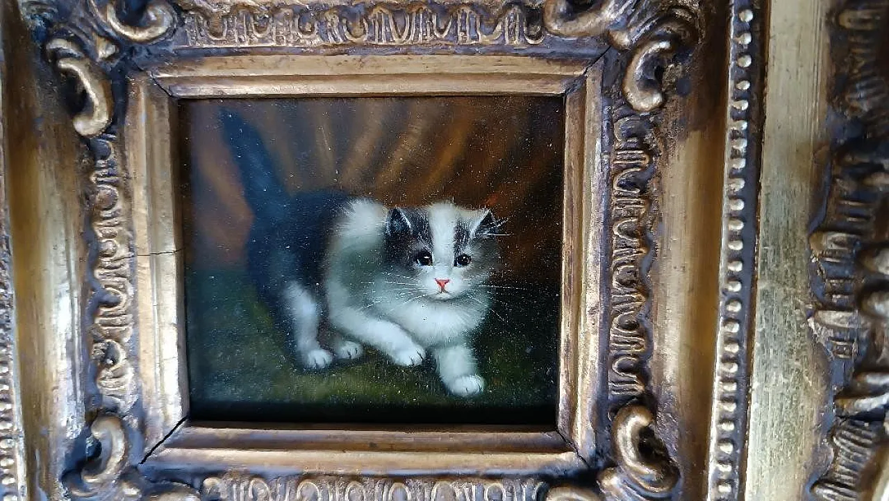 Gatto, olio su tavoletta, scuola inglese, primo '900 4