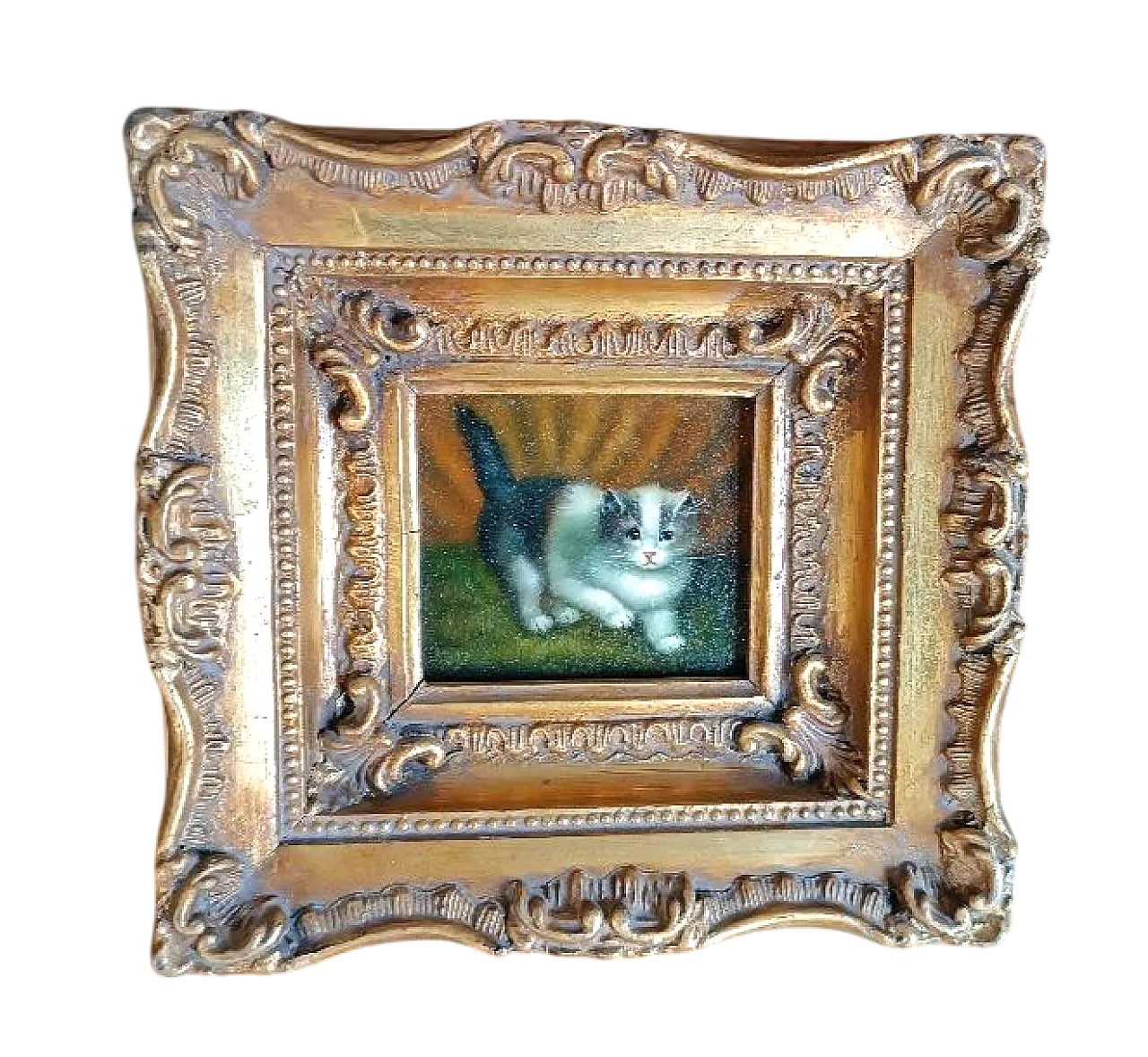 Gatto, olio su tavoletta, scuola inglese, primo '900 7