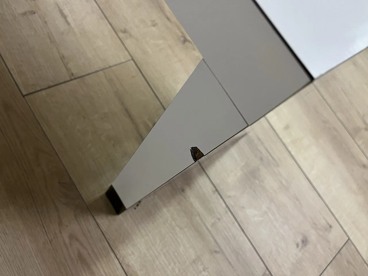 Laminated wood bench, 1980s 7