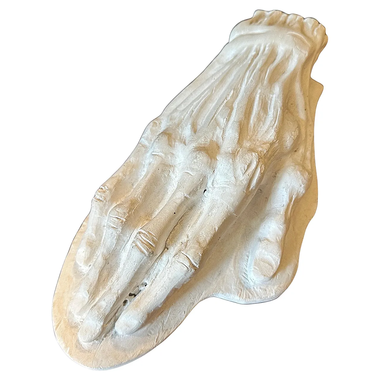 Plaster anatomic, school study of a human hand, 1950s 1