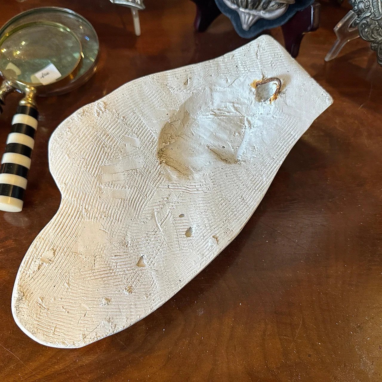 Plaster anatomic, school study of a human hand, 1950s 4