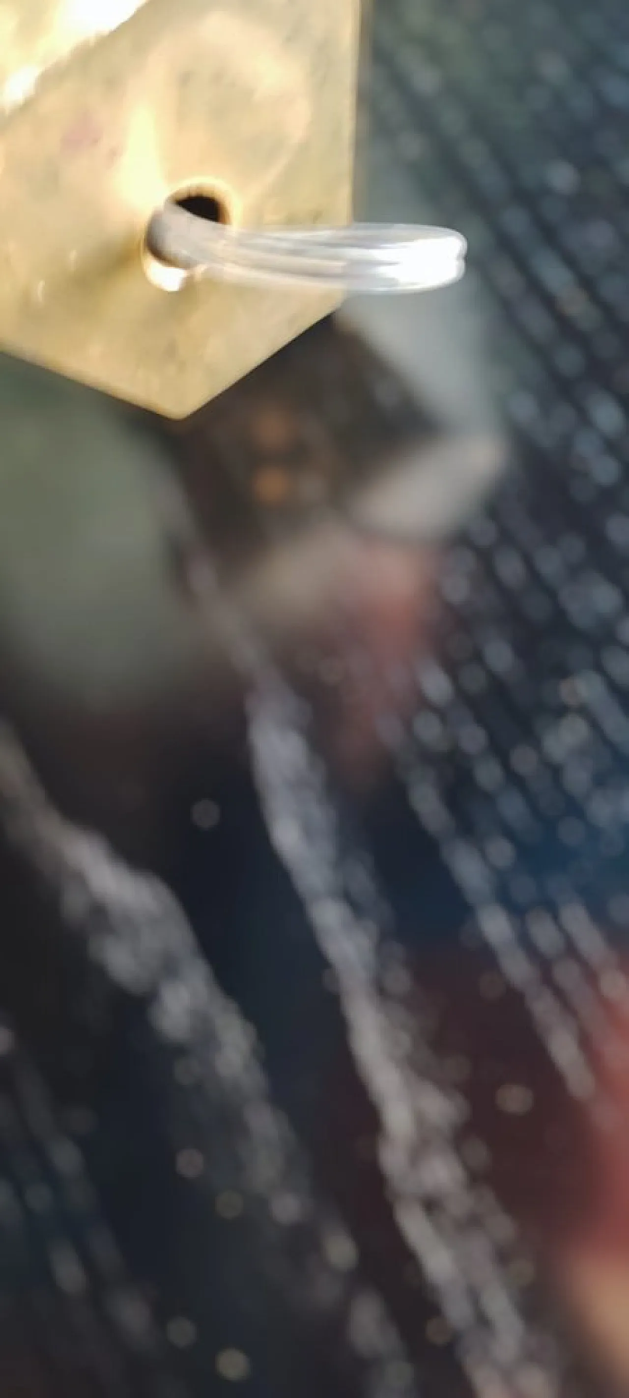 4 Applique Rostrato in vetro di Murano stile Barovier & Toso, anni '50 11