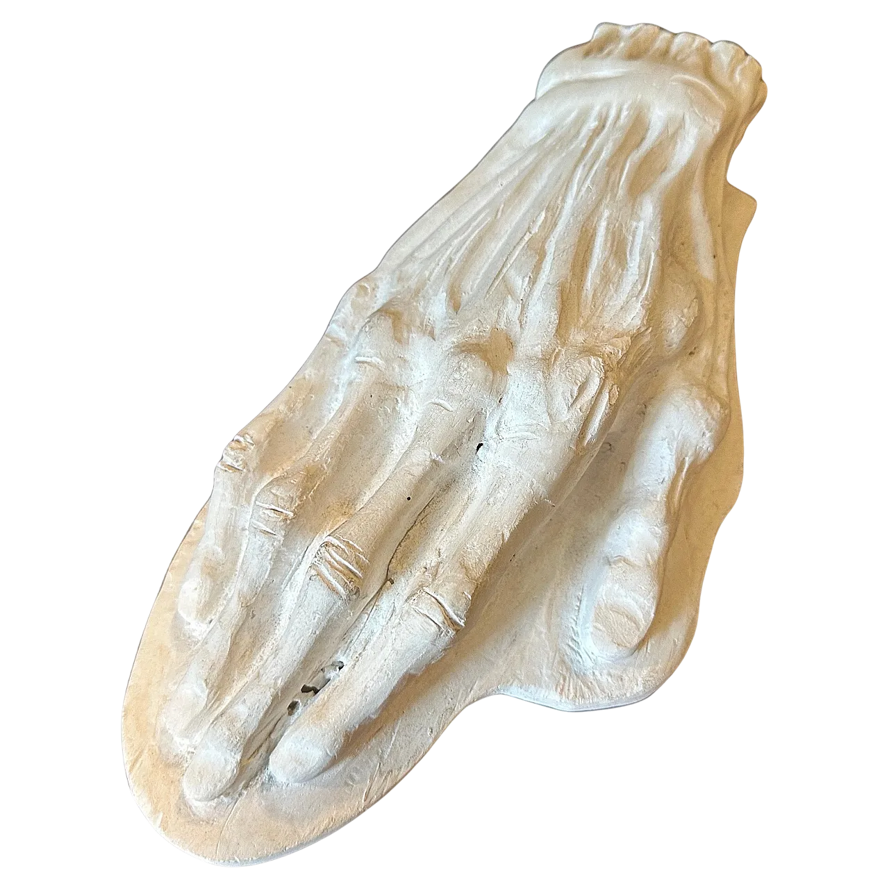 Plaster anatomic, school study of a human hand, 1950s 10