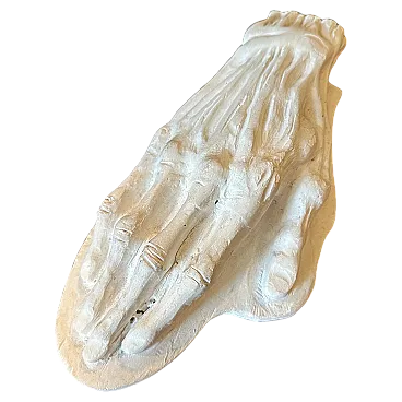 Gesso anatomico, studio scolastico di una mano umana, anni '50