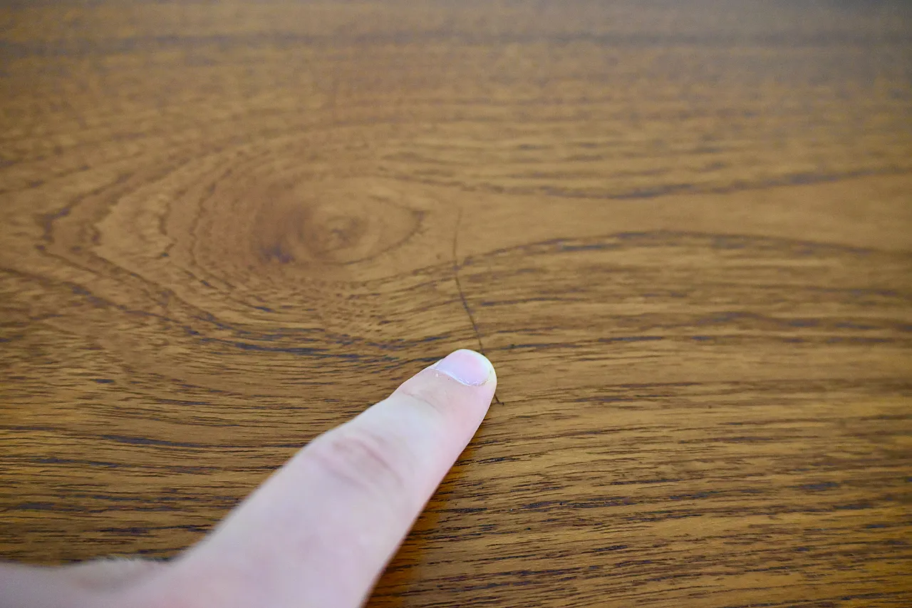 Dining Set di Arne Jacobsen per Fritz Hansen, anni '50 14