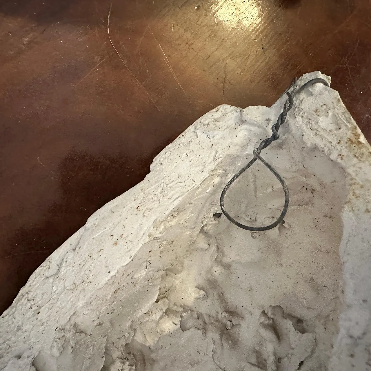 Studio anatomico in gesso di una mano che tiene monete, anni '50 3