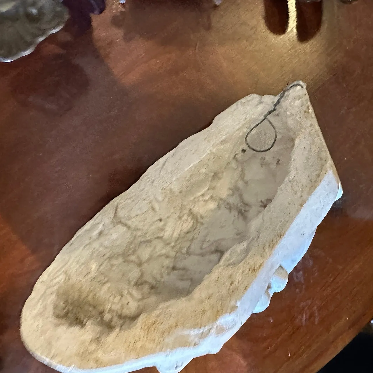 Studio anatomico in gesso di una mano che tiene monete, anni '50 6