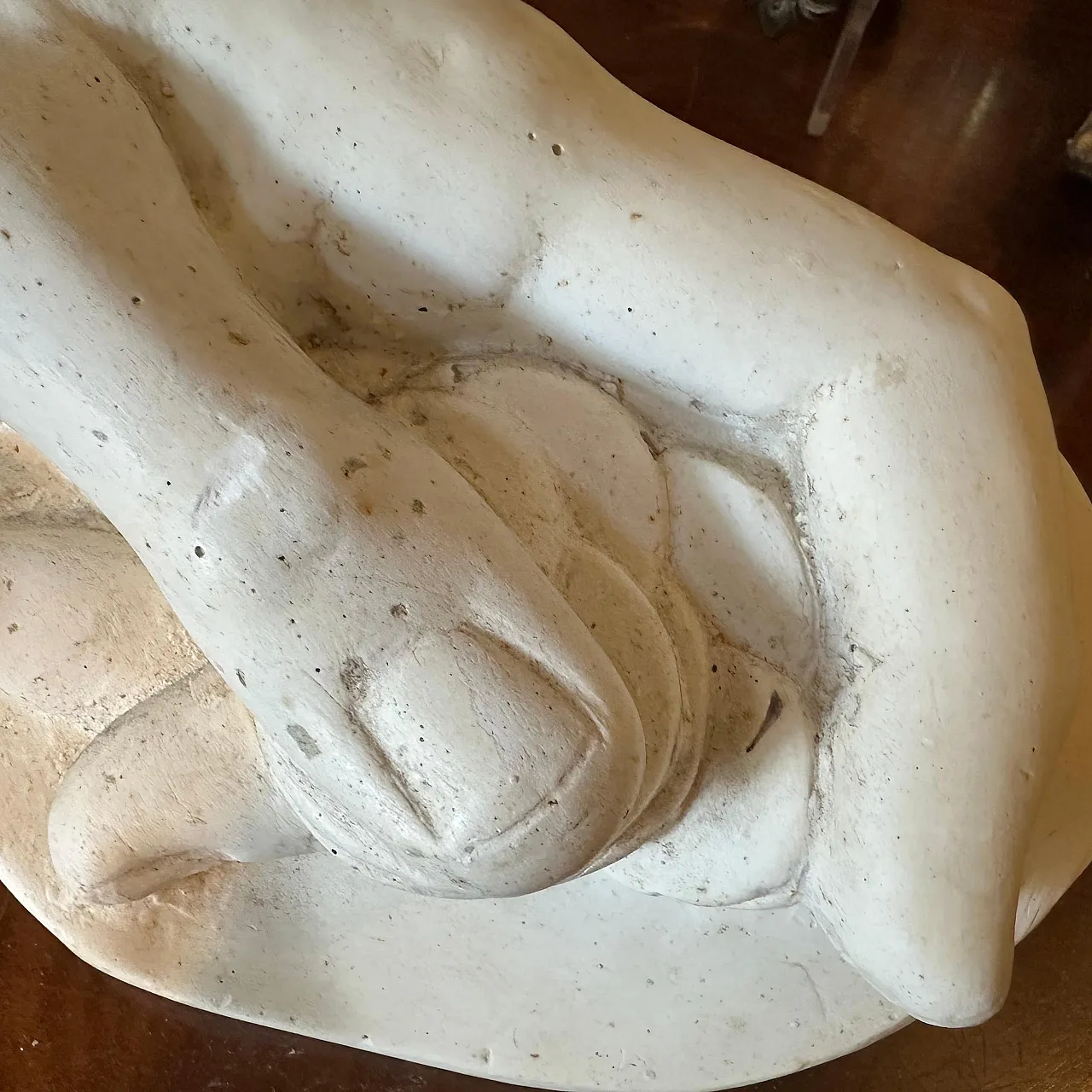 Studio anatomico in gesso di una mano che tiene monete, anni '50 7