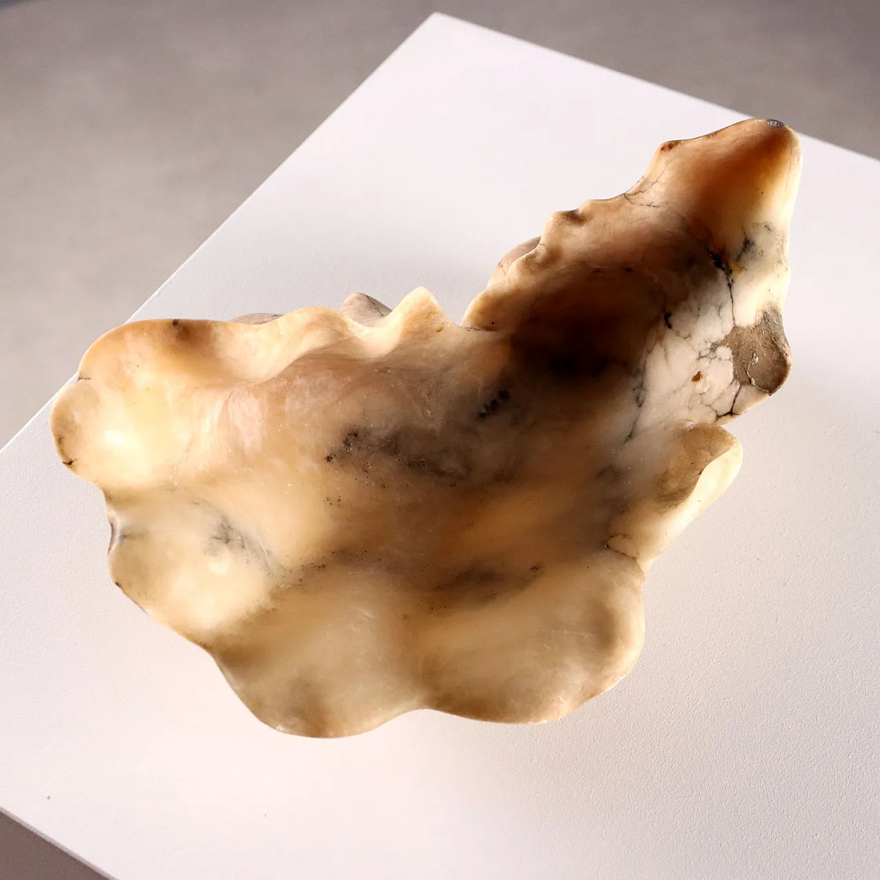 Centrotavola in alabastro a forma di conchiglia, '800 3