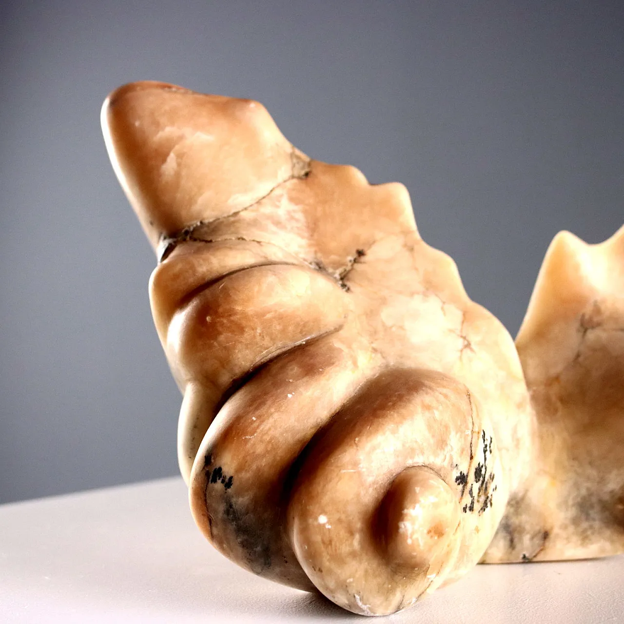 Centrotavola in alabastro a forma di conchiglia, '800 6