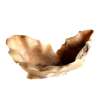 Centerpiece in alabaster shell shaped, 19th century