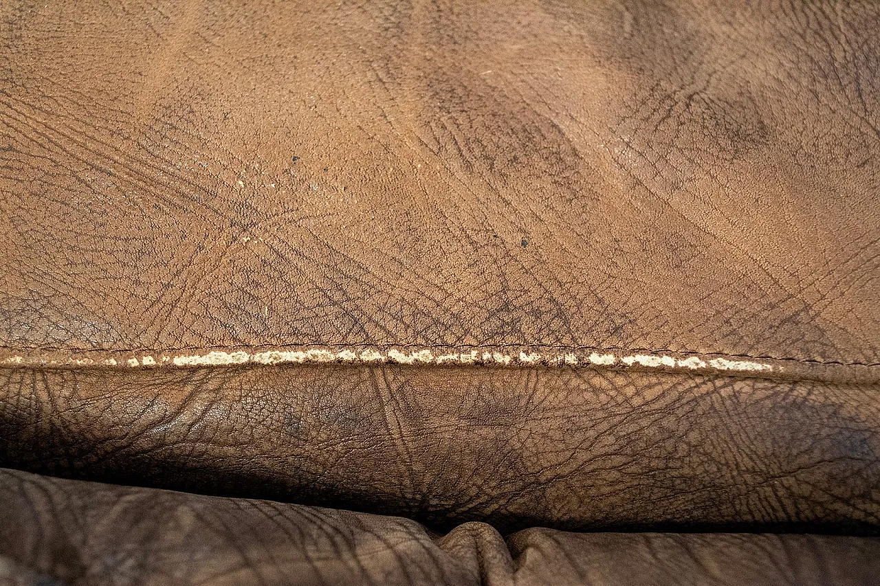 Divano Erasmo di Tobia & Afra Scarpa per B&B Italia, anni '70 4