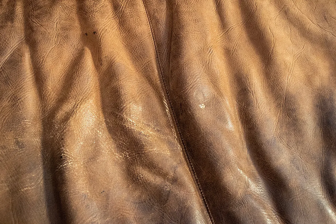 Divano Erasmo di Tobia & Afra Scarpa per B&B Italia, anni '70 5