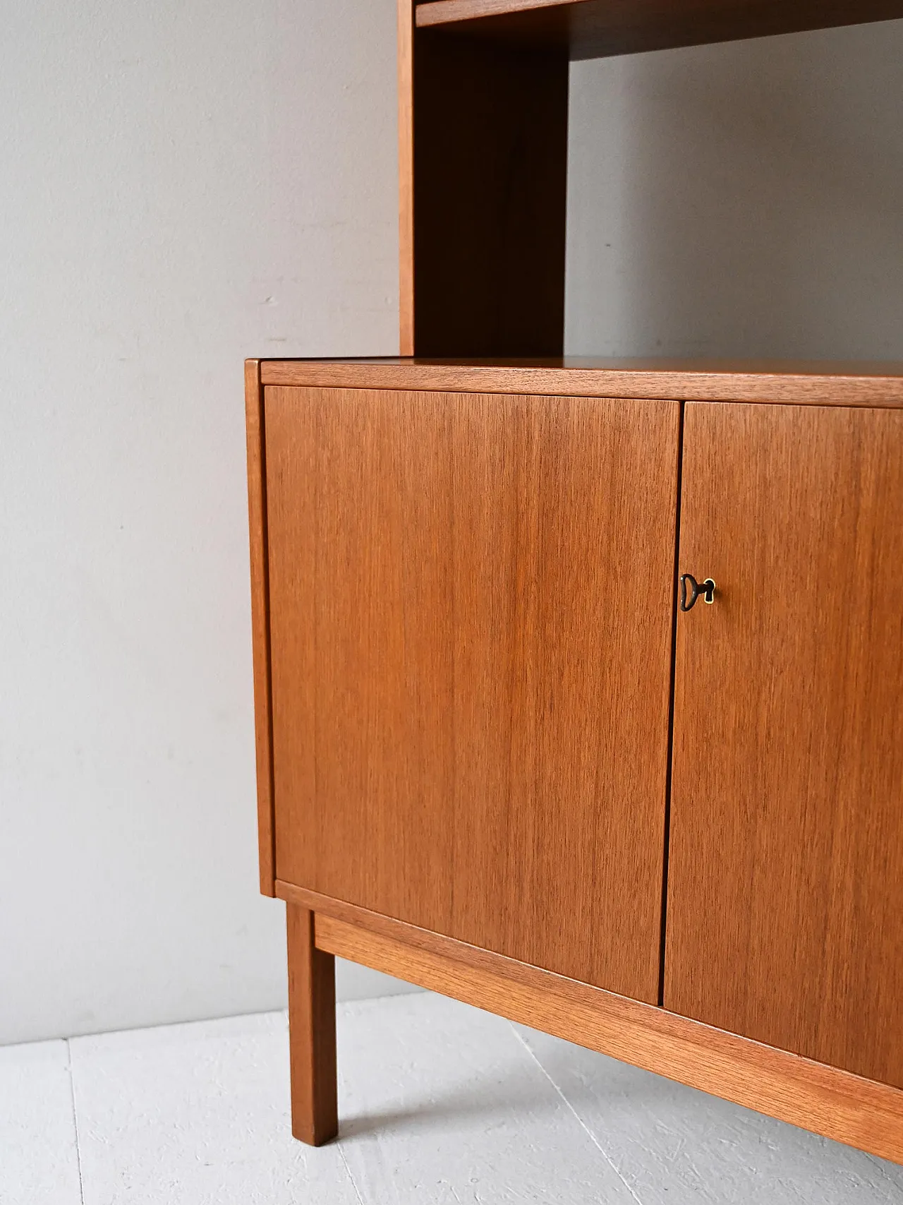 Vintage Scandinavian library with swing doors and visible shelves 6