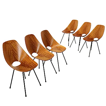 6 Medea chairs by Vittorio Nobili for F.lli Tagliabue  plywood, 1950s