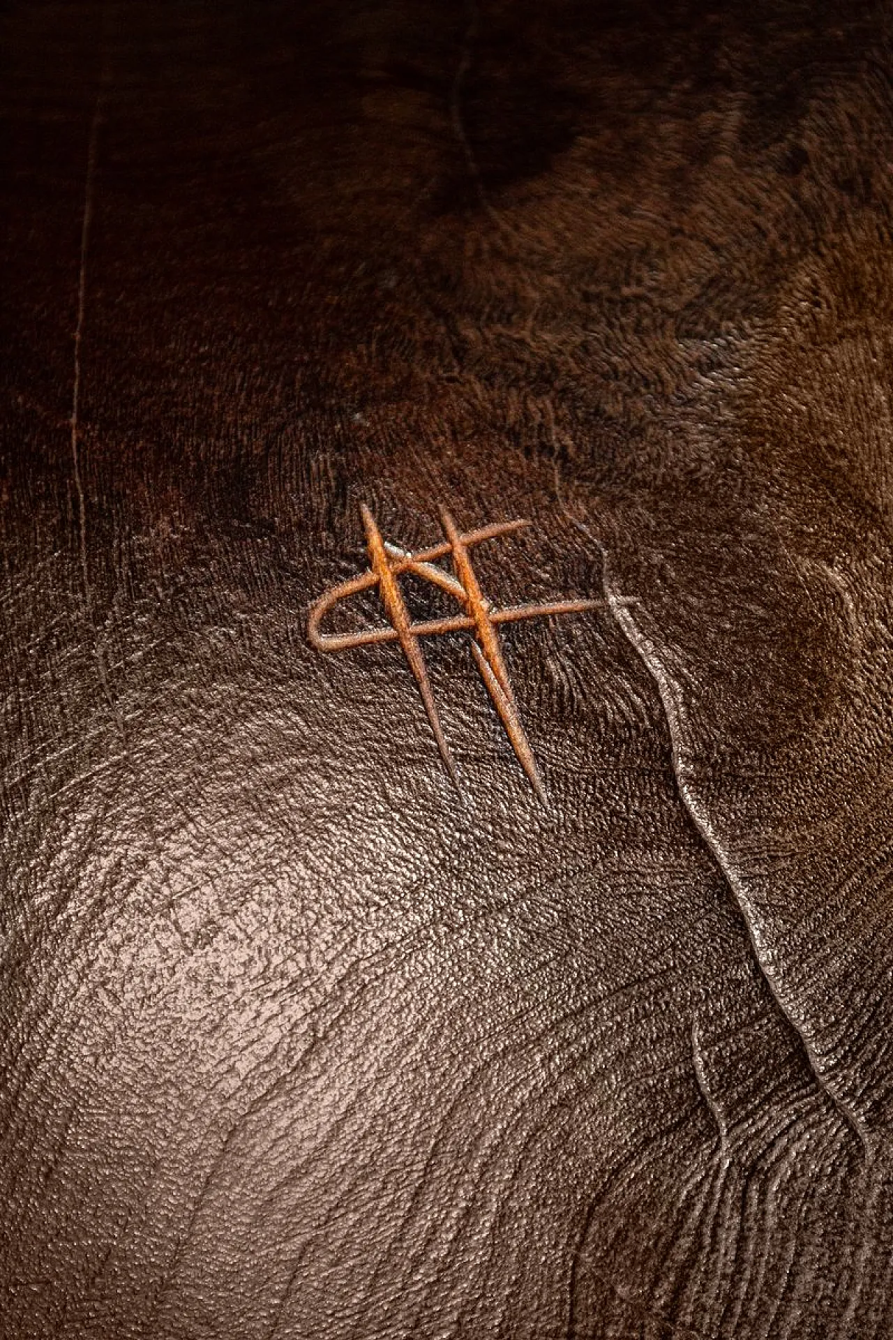 Cristiano Nicoletta, scultura astratta in legno, anni '60 5