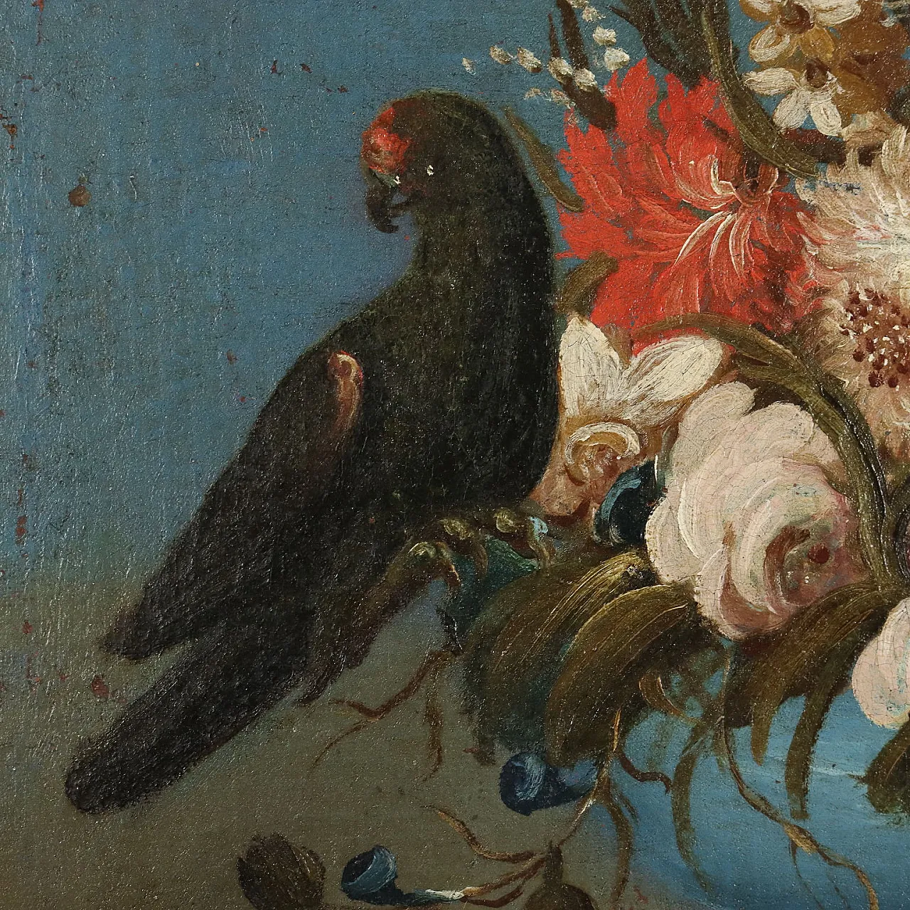 Natura morta con Fiori e Pappagallo, olio su tela, '800 8