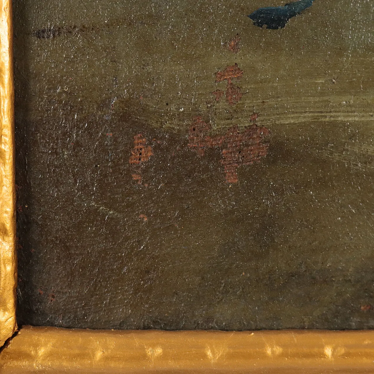 Natura morta con Fiori e Pappagallo, olio su tela, '800 10