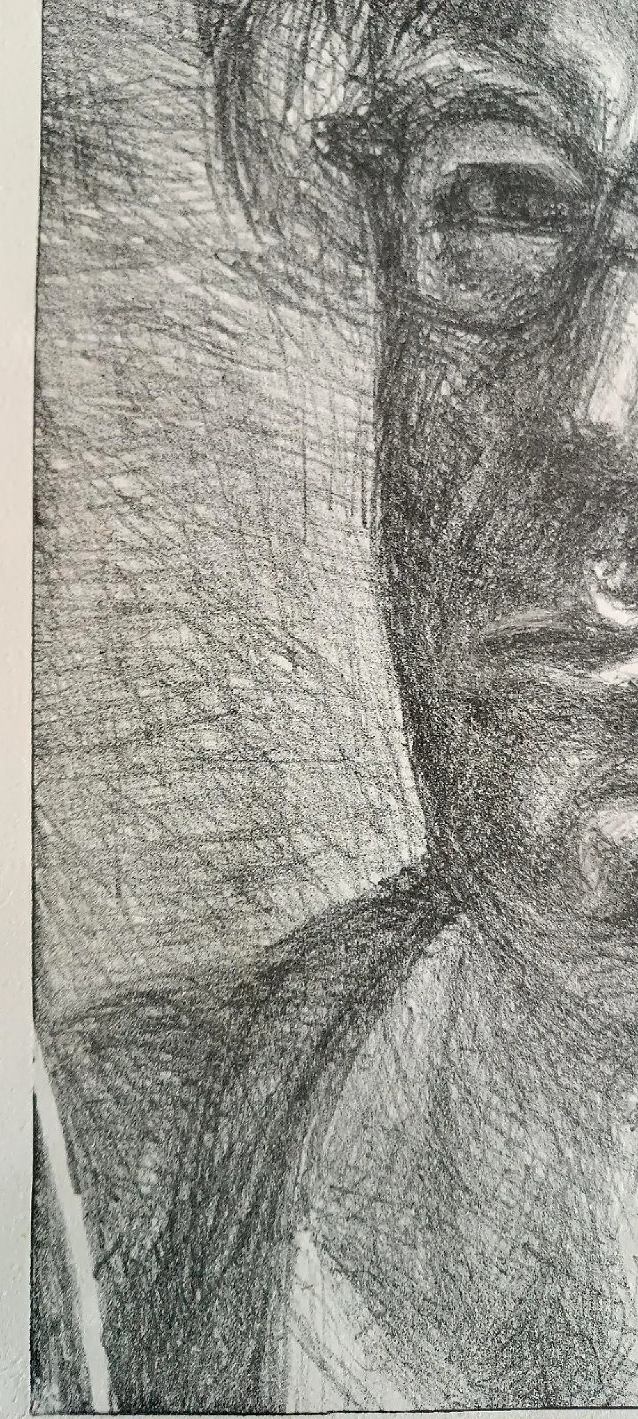 Portrait of Erich Fromm, pencil drawing by Giovanni March,20th century 5