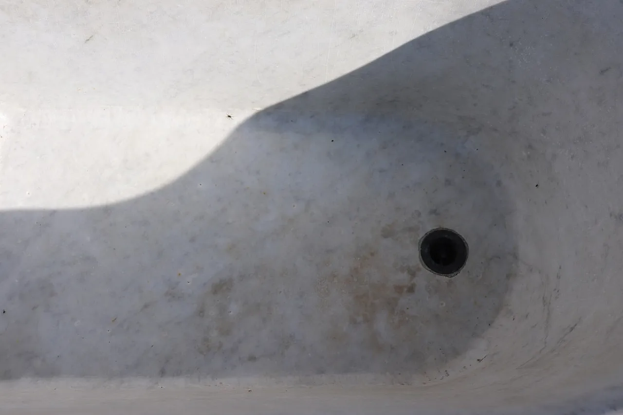 Marble bathtub, early 19th century 7