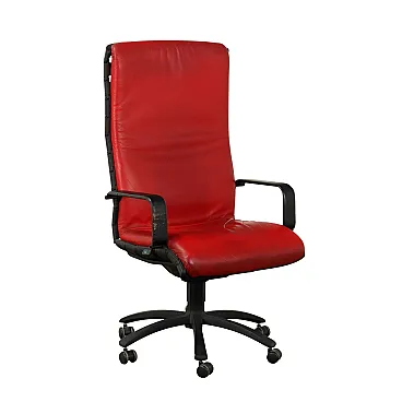 Antropovarius armchair by F. Porsche for Poltrona Frau, 20th century